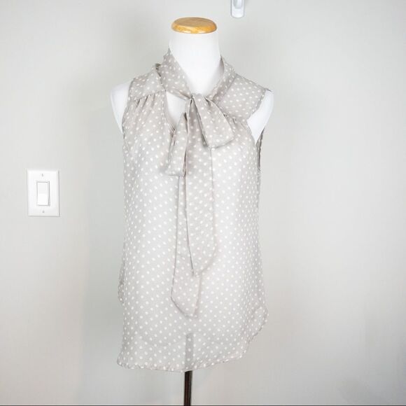 Daniel Rainn Grey Polka Dot Neck Tie Sleeveless Blouse Size Small Sheer Neutral - Picture 2 of 8